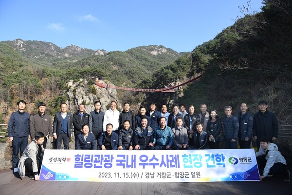산림개발 이미지
