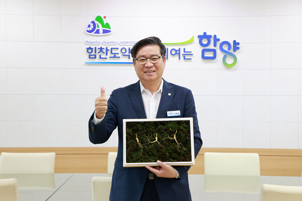 한국명품산삼 이미지